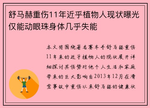舒马赫重伤11年近乎植物人现状曝光仅能动眼珠身体几乎失能