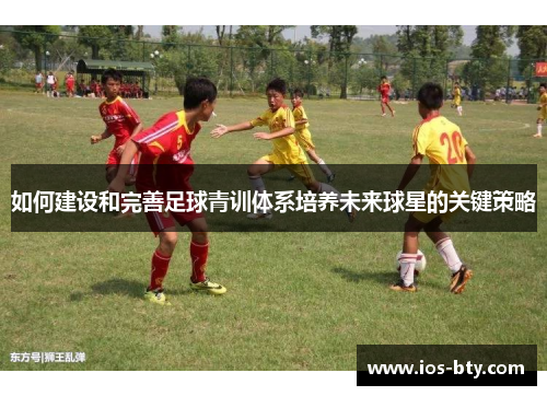 如何建设和完善足球青训体系培养未来球星的关键策略