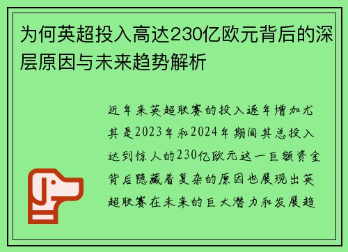 为何英超投入高达230亿欧元背后的深层原因与未来趋势解析