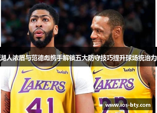 湖人浓眉与范德彪携手解锁五大防守技巧提升球场统治力