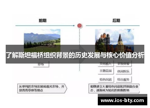 了解斯坦福桥组织背景的历史发展与核心价值分析