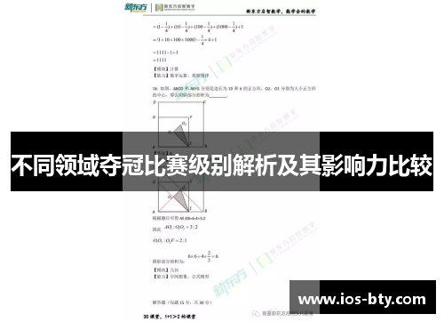 不同领域夺冠比赛级别解析及其影响力比较