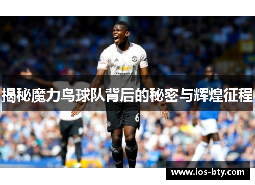 揭秘魔力鸟球队背后的秘密与辉煌征程
