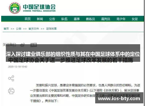 深入探讨建业俱乐部的组织性质与其在中国足球体系中的定位