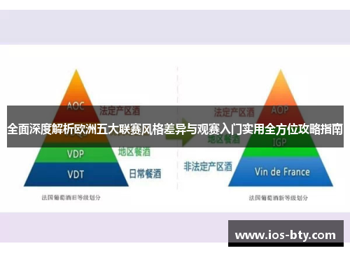 全面深度解析欧洲五大联赛风格差异与观赛入门实用全方位攻略指南 全面深度解析欧洲五大联赛风格差异与观赛入门实用全方位攻略指南