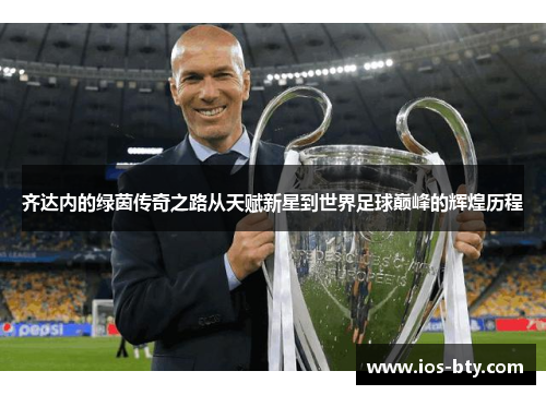 齐达内的绿茵传奇之路从天赋新星到世界足球巅峰的辉煌历程