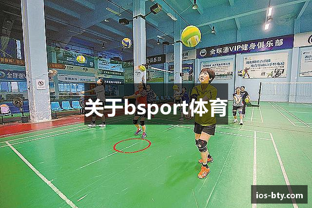 关于bsport体育